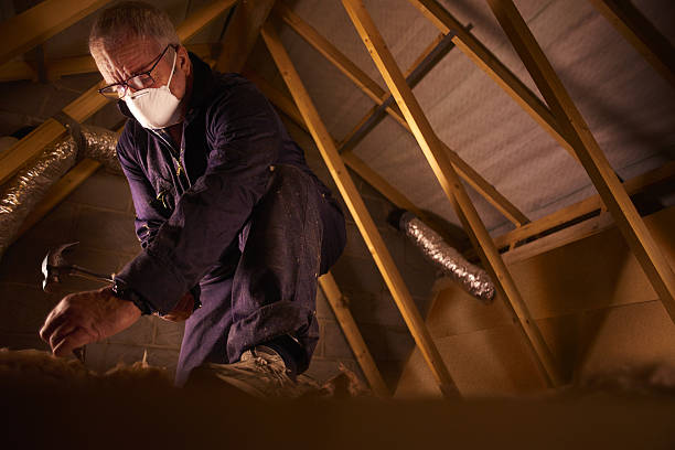 Insulation Replacement Services in Woodbury Heights, NJ
